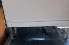 2015 Toyota Hiace Bus