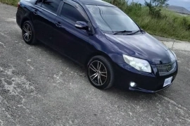 2009 luxcel