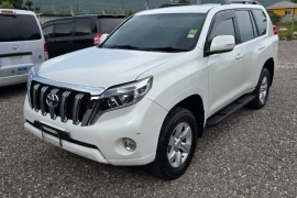 2010 Toyota Prado