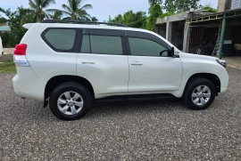 2010 Toyota Prado