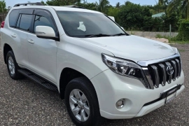 2010 Toyota Prado