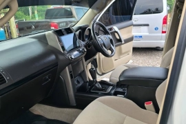 2010 Toyota Prado