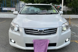 2010 Toyota Axio