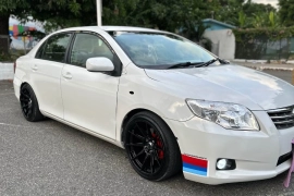 2010 Toyota Axio