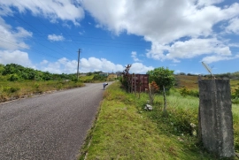 1 Acre of Land and House