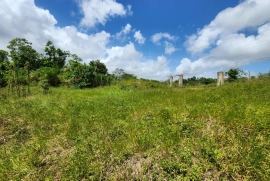 1 Acre of Land and House