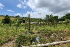 1 Acre of Land and House