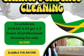 Emanci-Pendence Cleaning