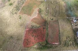 1/4 Acre Residential Lot