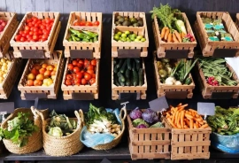 ?? Garden vegetable plants to start your summer garden ??