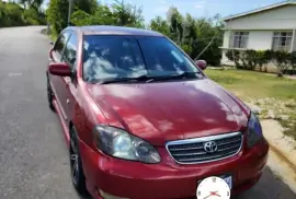 2005 Toyota Altis