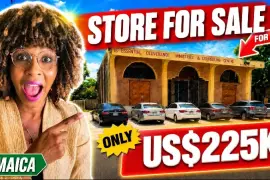 Large SPANISH TOWN STORE