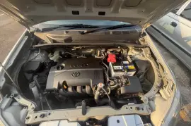 Newly imported 2020 Toyota Probox