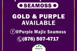 Seamoss Gold &amp; Purple Available