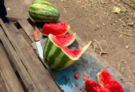 Sweet watermelon 🍉