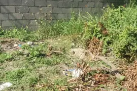 Land