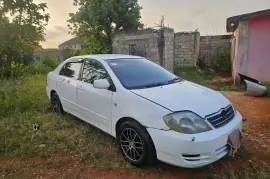 2003 Toyota Kingfish