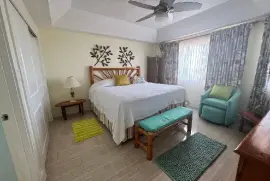 Luxury fully-furnished, ocean view apartment