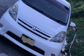 Toyota Isis 2010