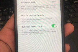 Iphone XS 64GB Truetone BH 100