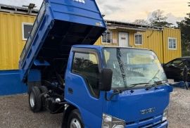 2010 Isuzu Elf