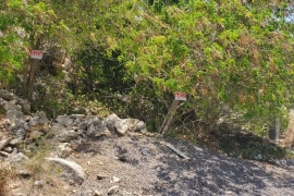 Ocean View Residential Lot