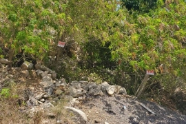 Ocean View Residential Lot