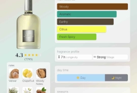 Tom Ford Grey Vetiver Eau de Parfum