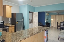 Fully Furnished 1 Bedroom Apartment