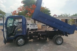 2013 Isuzu Elf Truck