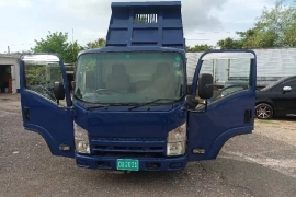 2013 Isuzu Elf Truck