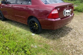 2003 Toyota Kingfish