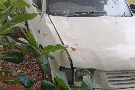 1998 Isuzu Van