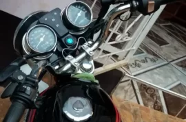 230 cc