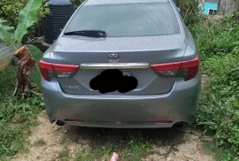 2010 Toyota mark x