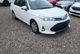 Toyota Axio 