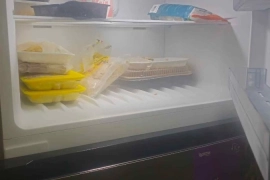 BLUESONIK 22.5 CUBIC FEET REFRIGERATOR