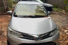 Toyota Corolla Fielder 2019