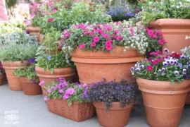?Garden pots in stock?