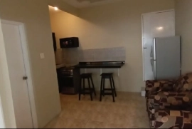 1 Bedroom, 1 Bathroom Apartment