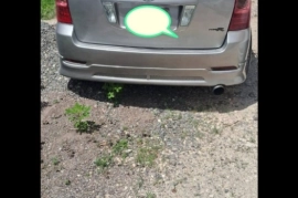 2004 1ZZ Toyota Fielder