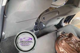 Aqua Hybrid (NOT A NORMAL AQUA)