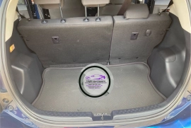 Aqua Hybrid (NOT A NORMAL AQUA)