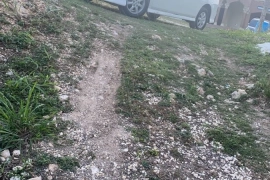 2012 Toyota ISIS Platana