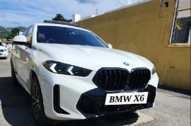 BMW X6 2024