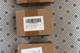 vehicle kill switch with remote controls