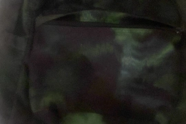 jansport bag