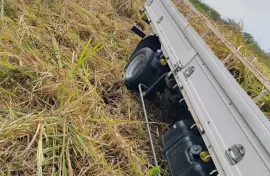 Grass For Mulch