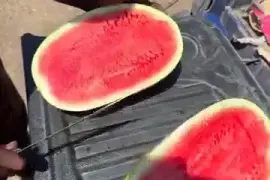 Watermelon