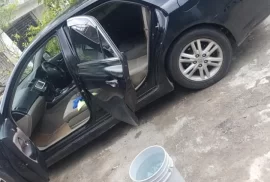 2009 Toyota Mark X